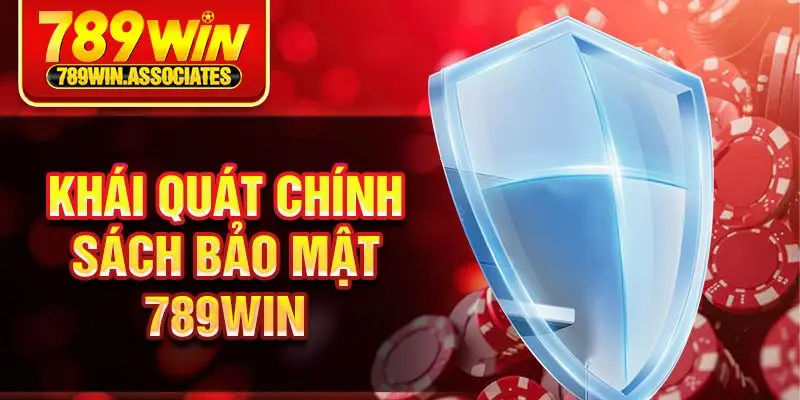 Chính Sách Bảo Mật 789win 1 Khái quát chính sách bảo mật 789win