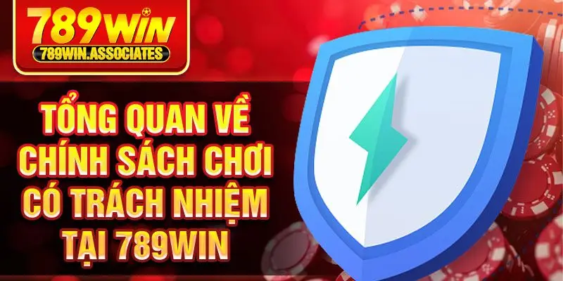 Chơi Có Trách Nhiệm 1 Tổng quan về chính sách chơi có trách nhiệm tại 789win